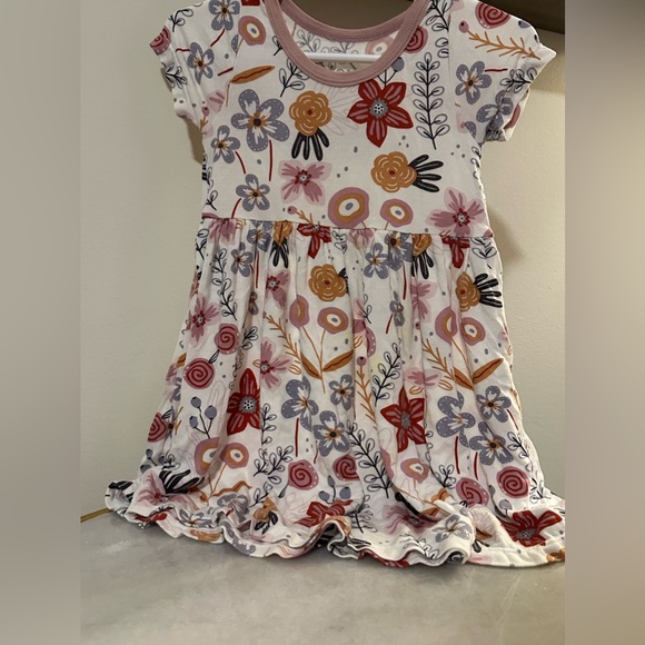 Bestaroo Dress 2T - Picture 1 of 3